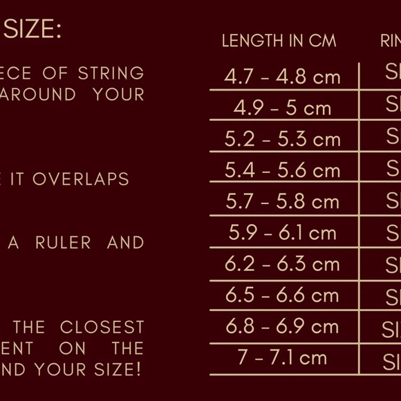 Ouroboros Shark Ring - Simple Sterling Silver Ring - Picture 5 of 5